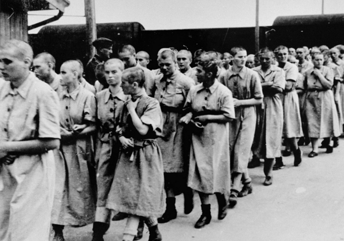 Historia De Auschwitz Las Condiciones Sanitarias De Los Prisioneros